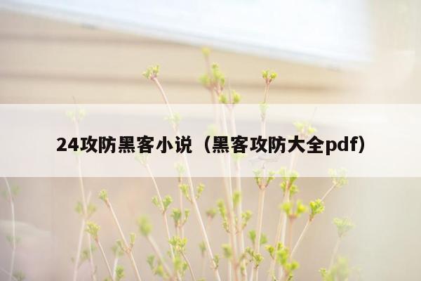 24攻防黑客小说（黑客攻防大全pdf）