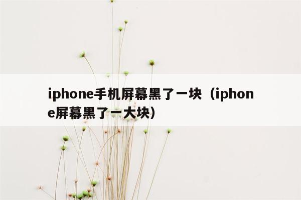 iphone手机屏幕黑了一块（iphone屏幕黑了一大块）