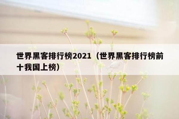 世界黑客排行榜2021（世界黑客排行榜前十我国上榜）