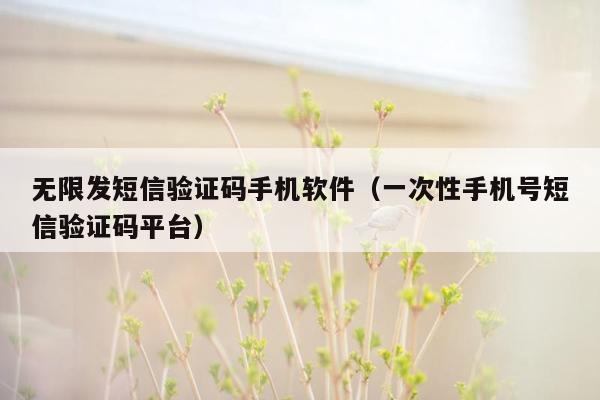 无限发短信验证码手机软件（一次性手机号短信验证码平台）