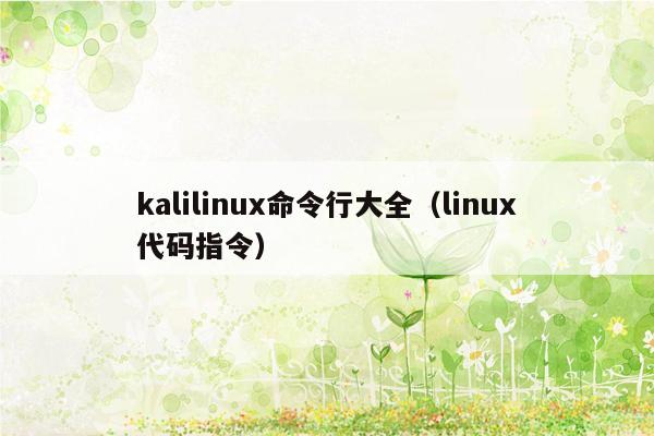 kalilinux命令行大全（linux代码指令）