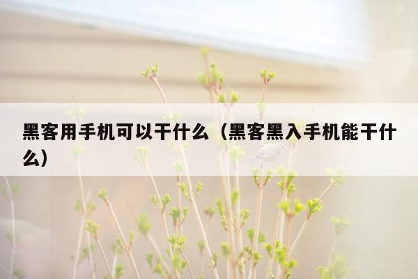 黑客用手机可以干什么（黑客黑入手机能干什么）