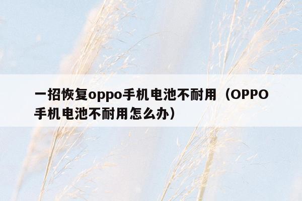 一招恢复oppo手机电池不耐用（OPPO手机电池不耐用怎么办）