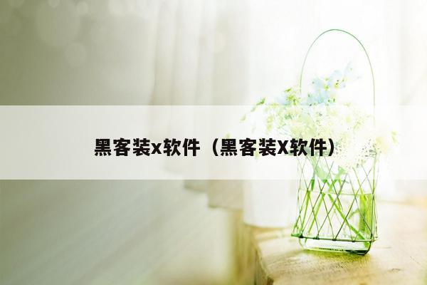 黑客装x软件（黑客装X软件）