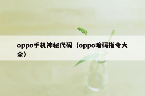 oppo手机神秘代码（oppo暗码指令大全）