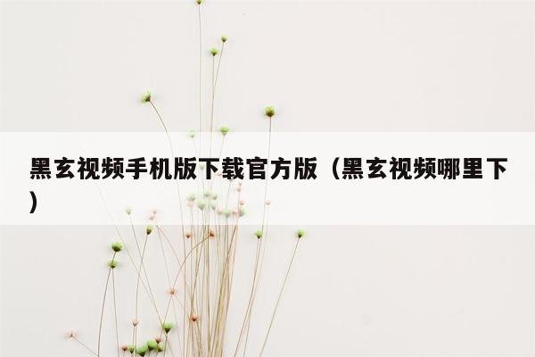 黑玄视频手机版下载官方版（黑玄视频哪里下）