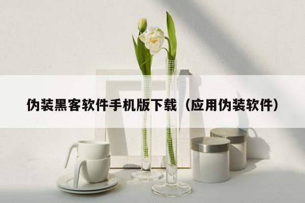 伪装黑客软件手机版下载（应用伪装软件）