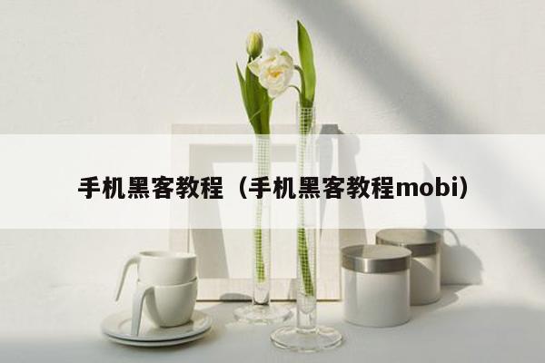 手机黑客教程（手机黑客教程mobi）