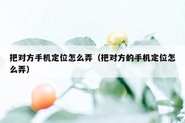 把对方手机定位怎么弄（把对方的手机定位怎么弄）