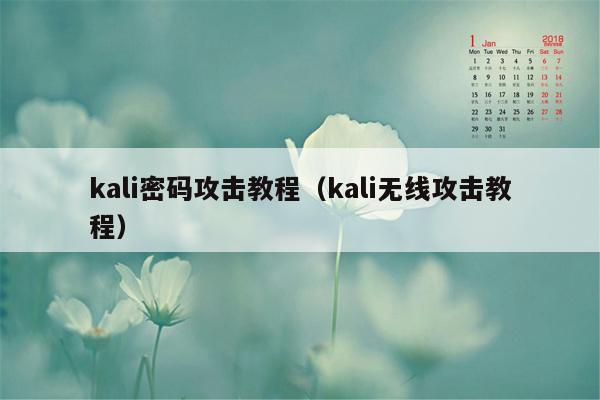 kali密码攻击教程（kali无线攻击教程）