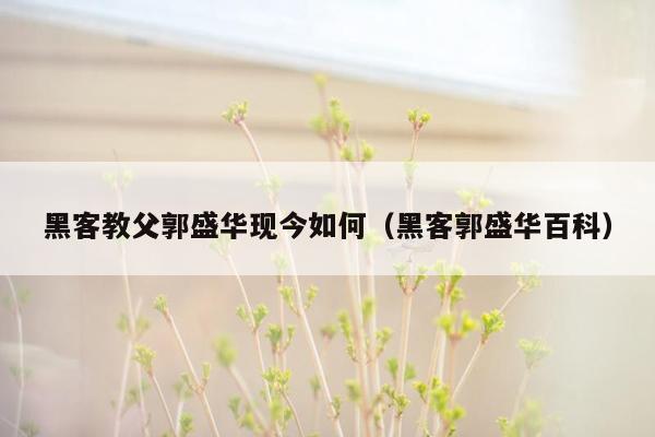 黑客教父郭盛华现今如何（黑客郭盛华百科）