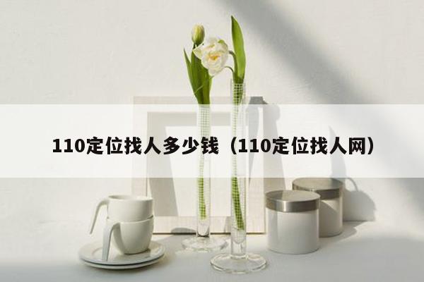 110定位找人多少钱（110定位找人网）