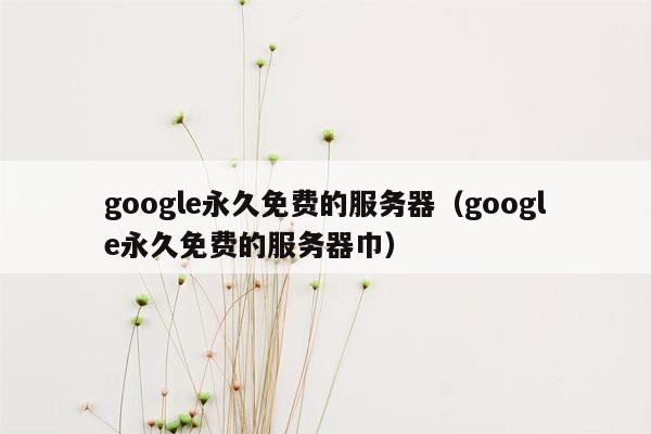 google永久免费的服务器（google永久免费的服务器巾）