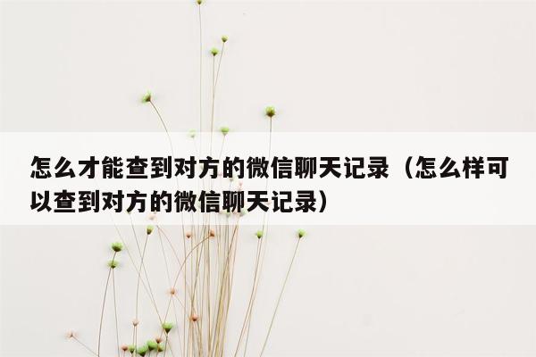 怎么才能查到对方的微信聊天记录（怎么样可以查到对方的微信聊天记录）