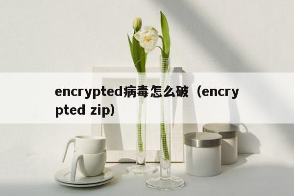 encrypted病毒怎么破（encrypted zip）