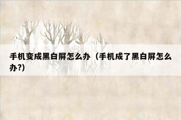 手机变成黑白屏怎么办（手机成了黑白屏怎么办?）