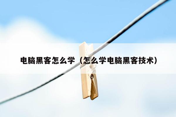 电脑黑客怎么学（怎么学电脑黑客技术）