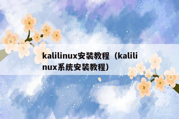 kalilinux安装教程（kalilinux系统安装教程）