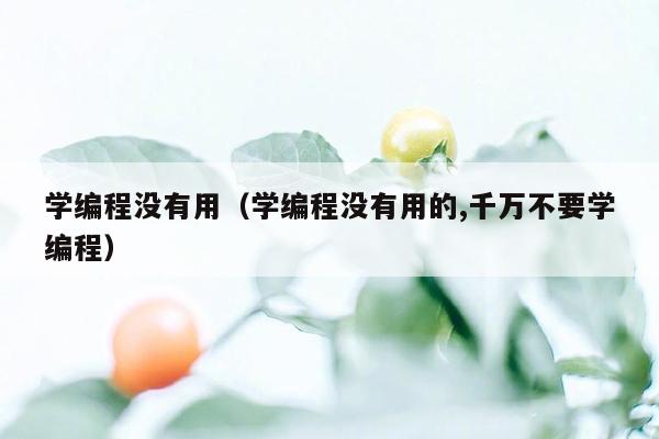 学编程没有用（学编程没有用的,千万不要学编程）