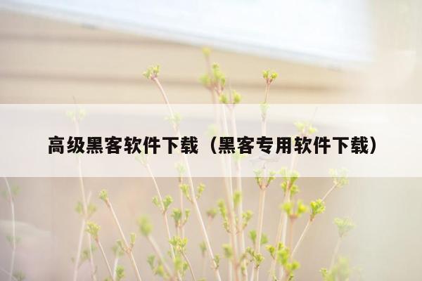 高级黑客软件下载（黑客专用软件下载）