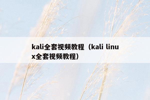 kali全套视频教程（kali linux全套视频教程）