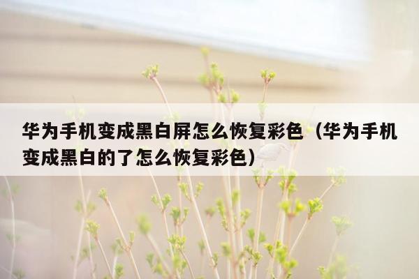 华为手机变成黑白屏怎么恢复彩色（华为手机变成黑白的了怎么恢复彩色）