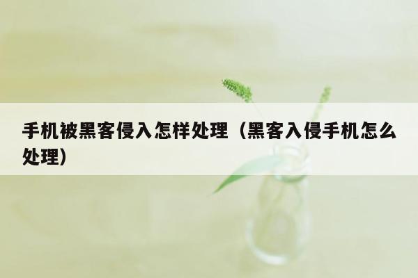 手机被黑客侵入怎样处理（黑客入侵手机怎么处理）