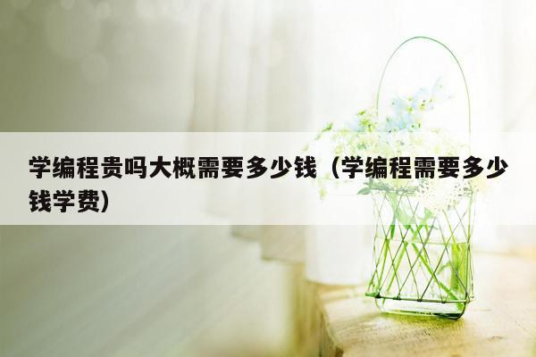 学编程贵吗大概需要多少钱（学编程需要多少钱学费）