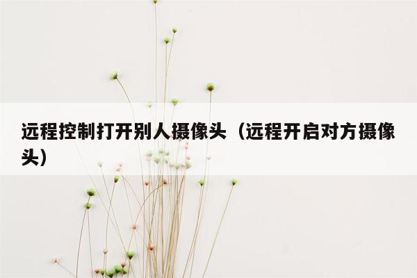 远程控制打开别人摄像头（远程开启对方摄像头）