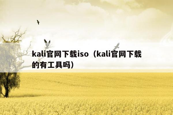 kali官网下载iso（kali官网下载的有工具吗）