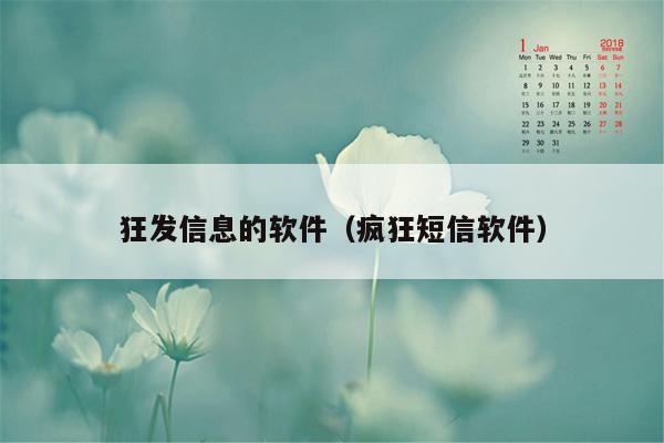 狂发信息的软件（疯狂短信软件）