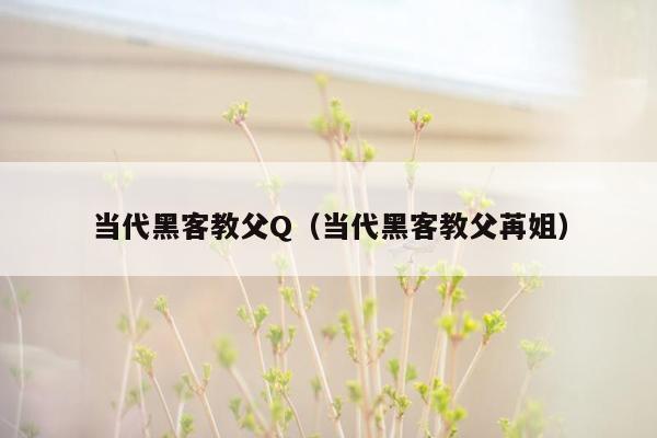 当代黑客教父Q（当代黑客教父苒姐）