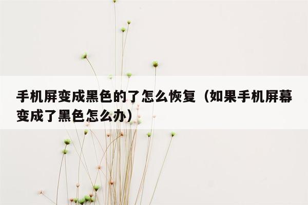 手机屏变成黑色的了怎么恢复（如果手机屏幕变成了黑色怎么办）