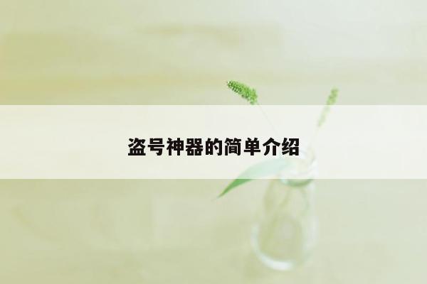 盗号神器的简单介绍