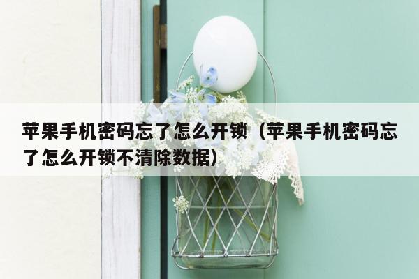 苹果手机密码忘了怎么开锁（苹果手机密码忘了怎么开锁不清除数据）