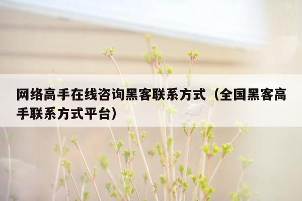 网络高手在线咨询黑客联系方式（全国黑客高手联系方式平台）