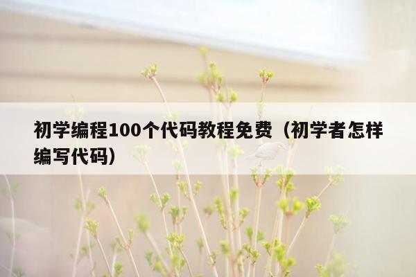 初学编程100个代码教程免费（初学者怎样编写代码）