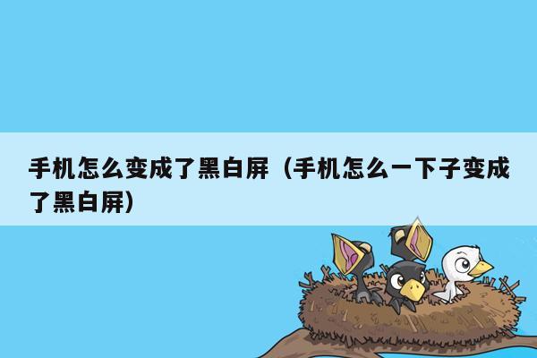 手机怎么变成了黑白屏（手机怎么一下子变成了黑白屏）