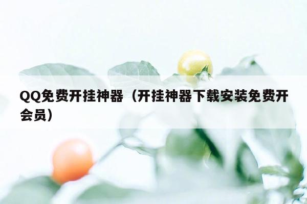 QQ免费开挂神器（开挂神器下载安装免费开会员）