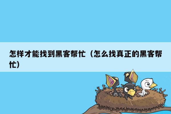 怎样才能找到黑客帮忙（怎么找真正的黑客帮忙）