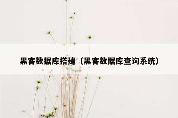 黑客数据库搭建（黑客数据库查询系统）