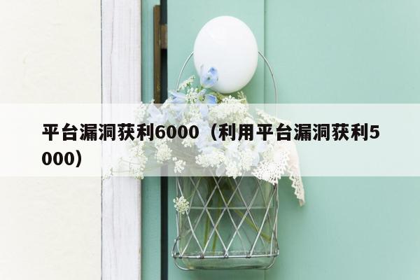 平台漏洞获利6000（利用平台漏洞获利5000）