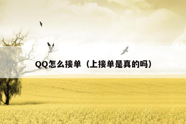 QQ怎么接单（上接单是真的吗）