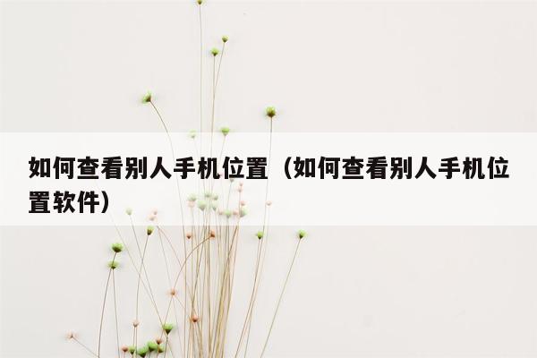 如何查看别人手机位置（如何查看别人手机位置软件）