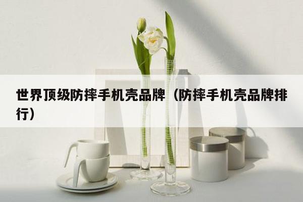 世界顶级防摔手机壳品牌（防摔手机壳品牌排行）