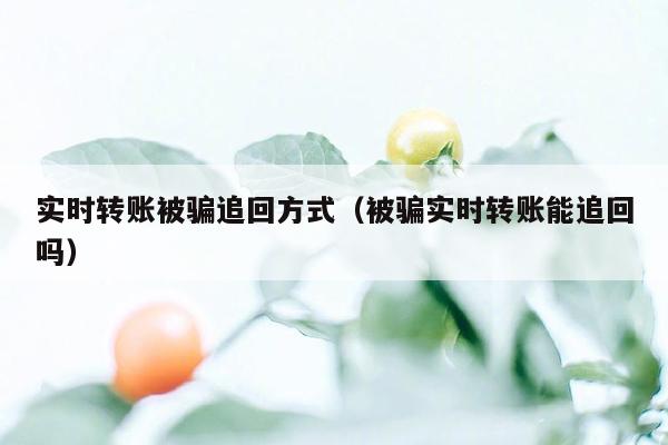 实时转账被骗追回方式（被骗实时转账能追回吗）