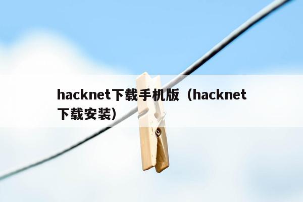 hacknet下载手机版（hacknet下载安装）