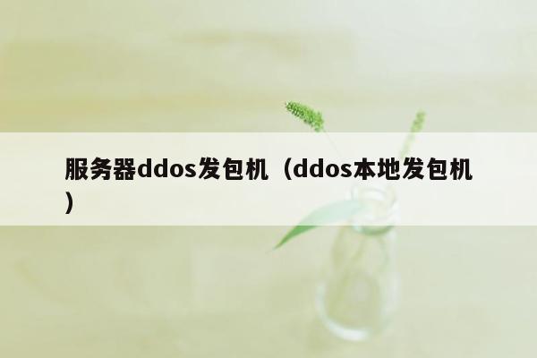 服务器ddos发包机（ddos本地发包机）