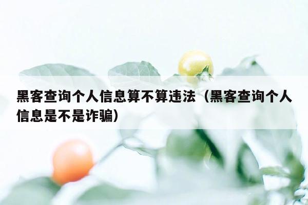 黑客查询个人信息算不算违法（黑客查询个人信息是不是诈骗）