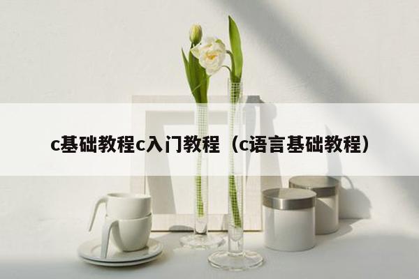 c基础教程c入门教程（c语言基础教程）